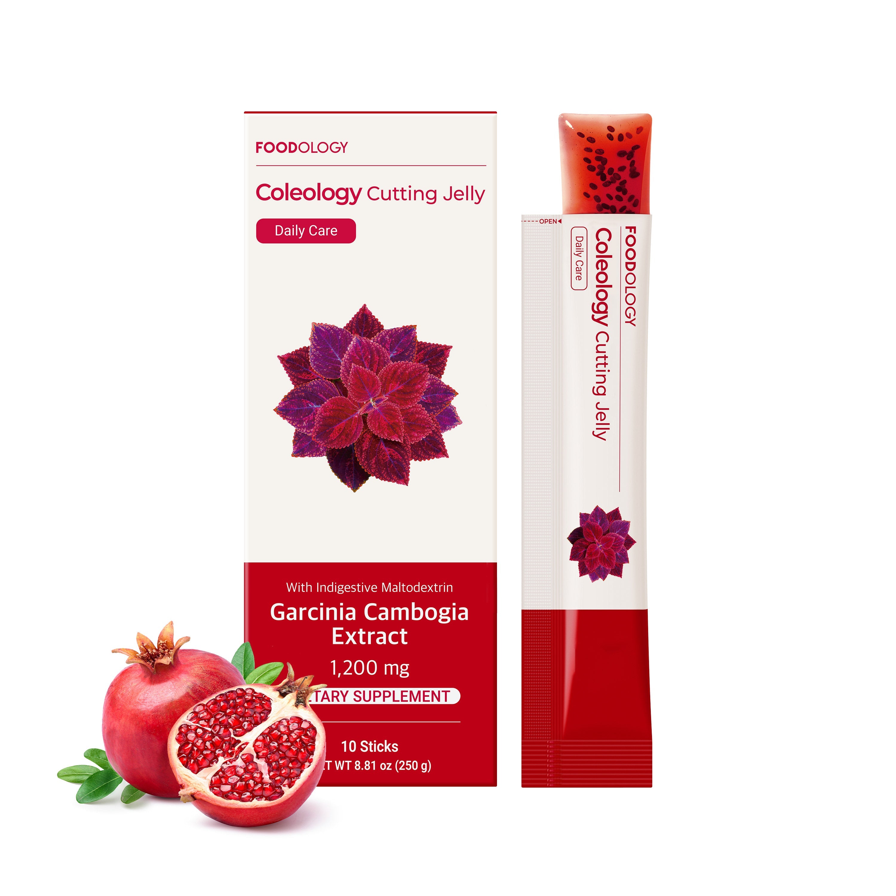Coleology Cutting Jelly 6ea (2-Month)